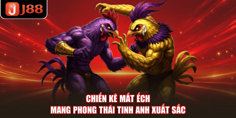 Chiến kê mắt ếch mang phong thái tinh anh xuất sắc