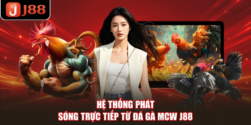 Hệ thống phát sóng trực tiếp từ đá gà MCW J88
